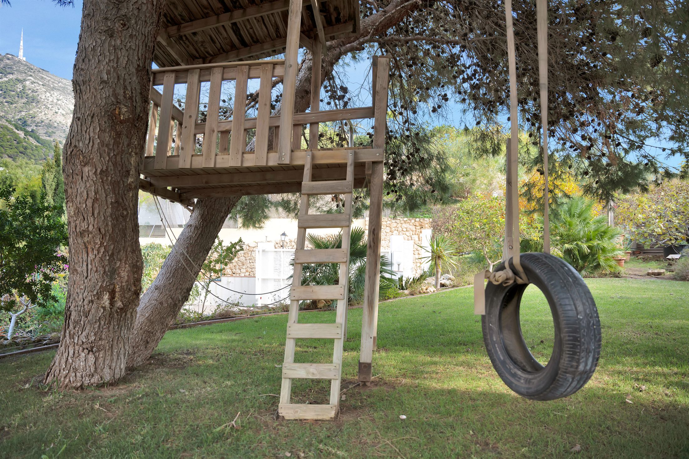 Treehouse with tyre swing